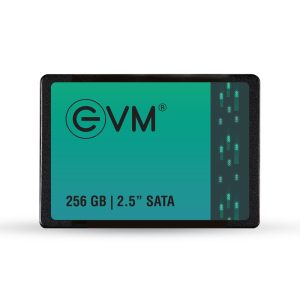 EVM 256GB SSD 2.5" INCH SATA